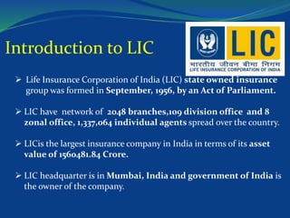 Life insurance project(LIC) | PPT
