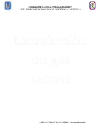 UNIVERSIDAD NACIONAL “PEDRO RUIZ GALLO”
FACULTAD DE INGENIERIA QUIMICA E INDUSTRIAS ALIMENTARIAS
LICUEFACCION DEL GAS NATURAL - Procesos industriales I
 