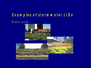 E x a m p l e s o f s t o r m w a t e r L I D s
G r e e n r o o f s