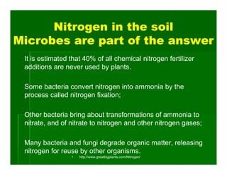 Nitrogen in the soil
Microbes are part of the answer
 It is estimated that 40% of all chemical nitrogen fertilizer
 additions are never used by plants.

 Some bacteria convert nitrogen into ammonia by the
 process called nitrogen fixation;

 Other bacteria bring about transformations of ammonia to
 nitrate, and of nitrate to nitrogen and other nitrogen gases;

 Many bacteria and fungi degrade organic matter, releasing
 nitrogen for reuse by other organisms.
                    http://www.greatbigplants.com/Nitrogen/
 