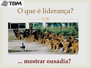 
O que é liderança?
... mostrar ousadia?
 