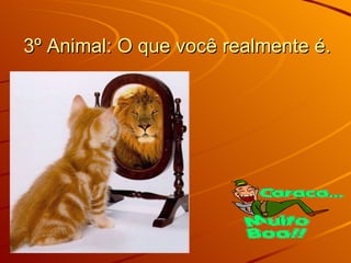 3º Animal: O que você realmente é. 
