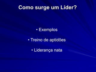 Como surge um Líder? 
• Exemplos 
• Treino de aptidões 
• Liderança nata 
 
