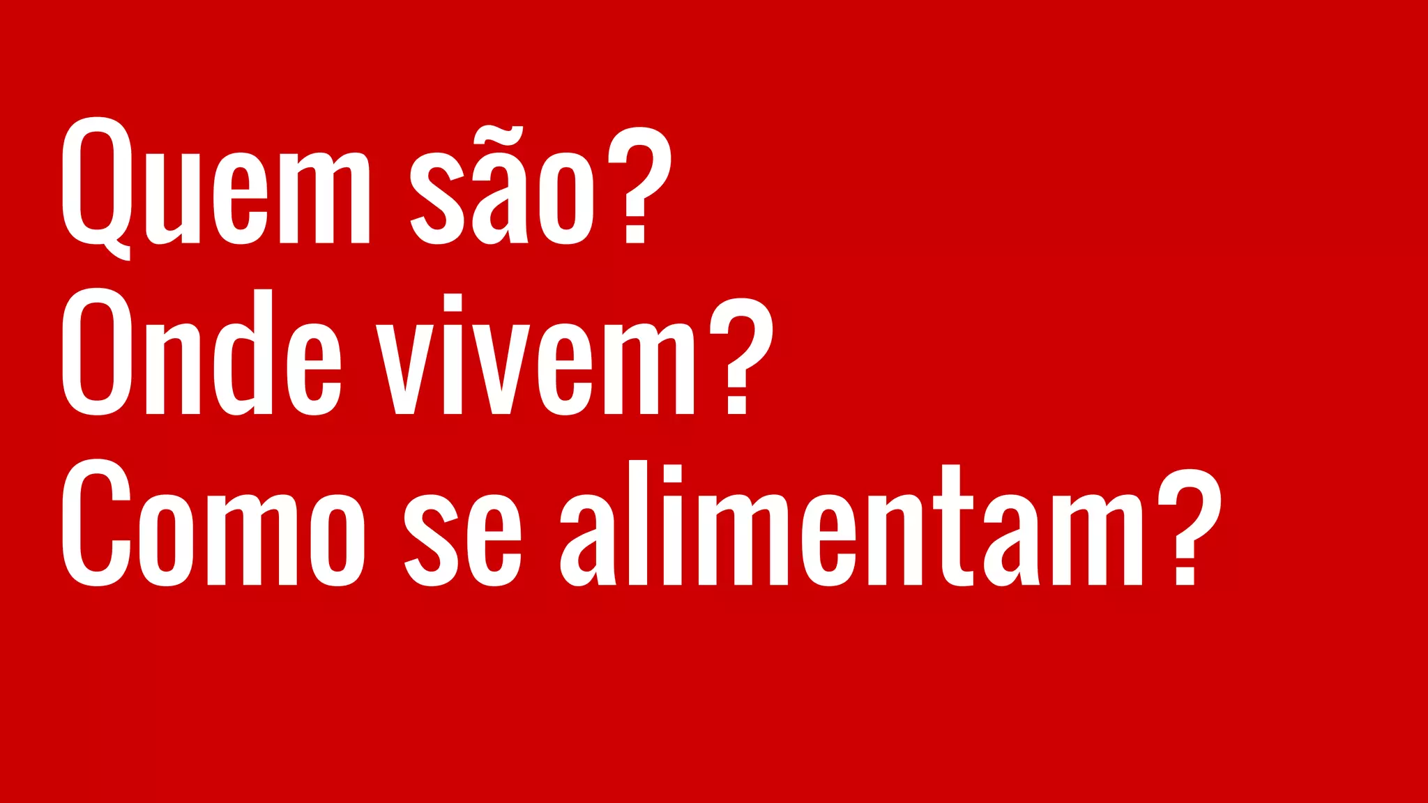 Quem são?
Onde vivem?
Como se alimentam?
 