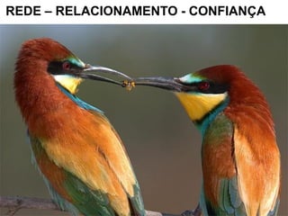 REDE – RELACIONAMENTO - CONFIANÇA
 