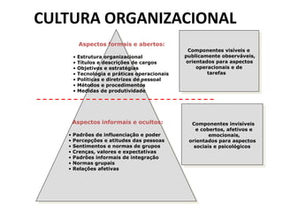 O iceberg da cultura organizacional
Aspectos formais e abertos:
• Estrutura organizacional
• Títulos e descrições de cargos
• Objetivos e estratégias
• Tecnologia e práticas operacionais
• Políticas e diretrizes de pessoal
• Métodos e procedimentos
• Medidas de produtividade
Aspectos informais e ocultos:
• Padrões de influenciação e poder
• Percepções e atitudes das pessoas
• Sentimentos e normas de grupos
• Crenças, valores e expectativas
• Padrões informais de integração
• Normas grupais
• Relações afetivas
Componentes visíveis e
publicamente observáveis,
orientados para aspectos
operacionais e de
tarefas
Componentes invisíveis
e cobertos, afetivos e
emocionais,
orientados para aspectos
sociais e psicológicos
CULTURA ORGANIZACIONAL
 