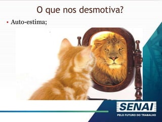 O que nos desmotiva?
• Auto-estima;
 