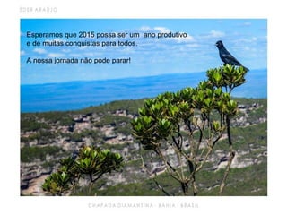 Esperamos que 2015 possa ser um ano produtivo
e de muitas conquistas para todos.
A nossa jornada não pode parar!
 