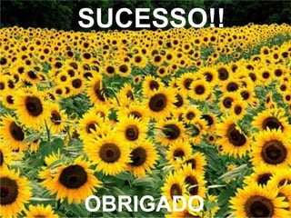 SUCESSO!! 
OBRIGADO 
 