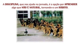 A DISCIPLINA, que nos ajuda na jornada, é a opção por APRENDER algo que NÃO É NATURAL, tornando-o um HÁBITO.  