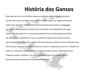 História dos Gansos
Duas vezes por ano, cinco milhões de gansos enfrentam uma verdadeira maratona.

Durante três meses, percorrem mais de cinco mil Km, migram das regiões árticas para

lugares mais quentes e voltam novamente na primavera para procriar. A motivação

para essa jornada é garantir a própria vida. O ambiente é de cooperação e em grupo

adotam uma formação em V na qual todos beneficiam do impulso gerado pela batida

das asas de seus companheiros. Assim, o trabalho de cada animal facilita a vida dos

seus companheiros. Todos dão o máximo de si para alcançar o objetivo comum. Quando está a

voar sozinho, o ganso sente a resistência do ar e cansa-se rapidamente, por isso o trabalho de

cada um é valorizado. Quando o ganso que lidera o grupo se cansa, rapidamente outro

chega para ajudar, ocupando o seu lugar. Quando um ganso fica doente, alguns

gansos saem da formação para o acompanhar e proteger.
 