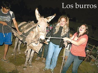 Los burros
 