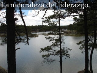 La naturaleza del liderazgo
 