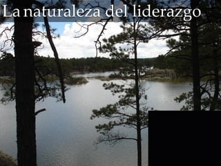 La naturaleza del liderazgo
 