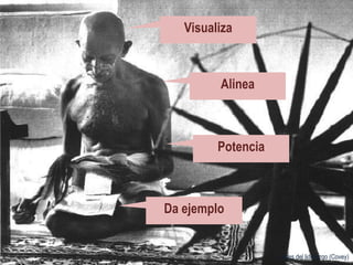 Roles del liderazgo (Covey)
Visualiza
Alinea
Potencia
Da ejemplo
 