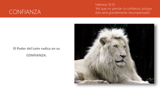 CONFIANZA
El Poder del León radica en su
CONFIANZA.
Hebreos 10:35.
“Así que no pierdan la confianza, porque
ésta será grandemente recompensada”.
 
