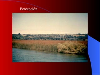 Percepción 