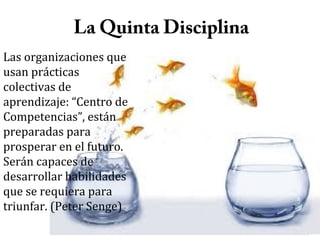 La Quinta Disciplina
Las organizaciones que
usan prácticas
colectivas de
aprendizaje: “Centro de
Competencias”, están
preparadas para
prosperar en el futuro.
Serán capaces de
desarrollar habilidades
que se requiera para
triunfar. (Peter Senge)

 
