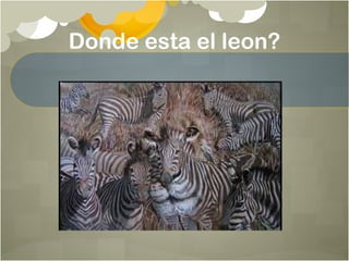 Donde esta el leon?
 