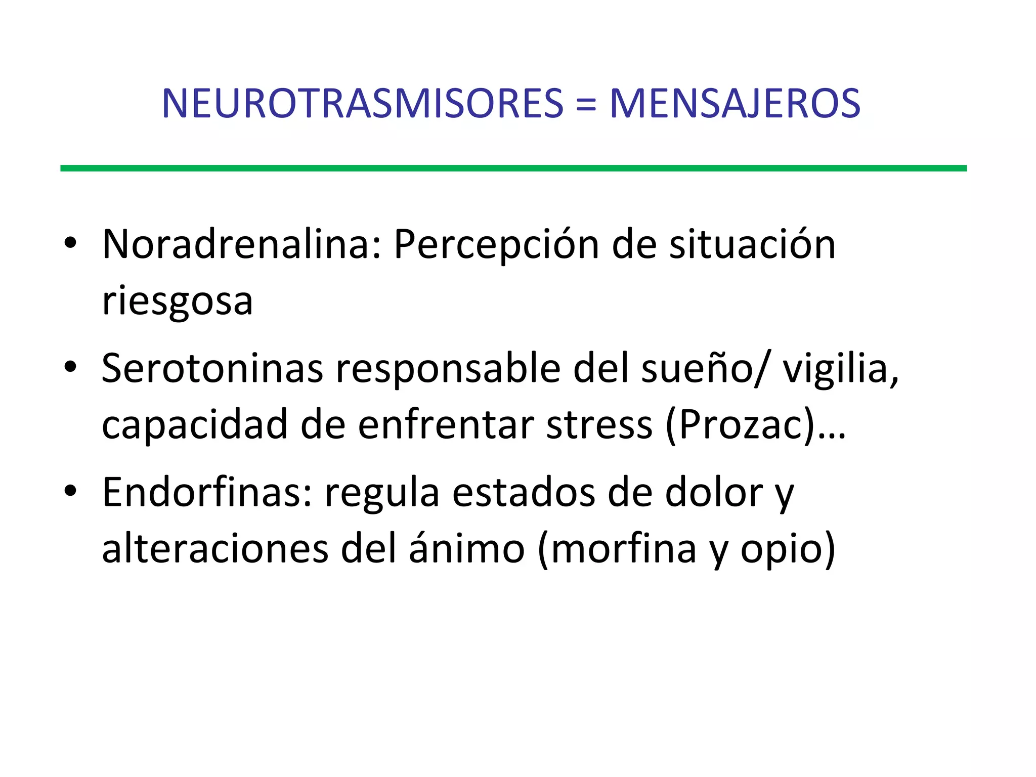 NEUROTRASMISORES = MENSAJEROS   Noradrenalina: Percepción de situación riesgosa Serotoninas responsable del sueño/ vigilia, capacidad de enfrentar stress (Prozac)… Endorfinas: regula estados de dolor y alteraciones del ánimo (morfina y opio) 