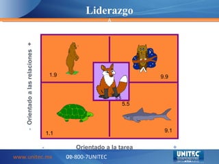 Liderazgo A www.unitec.mx 01-800-7UNITEC LAR - Orientado a las relaciones + - Orientado a la tarea + 1.9 9.9 1.1 9.1 5.5 5.5