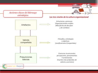 Los tres niveles de la cultura organizacional
 