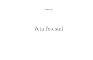 CAPÍTULO I




Veta Forestal
 