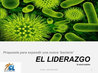 EL LIDERAZGO 
© HUGO GUERRA 
Propuesta para expandir una nueva ‘bacteria’ 
06/09/2014 (c) HGA - septiembre 2014 1 
 