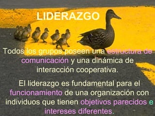 LIDERAZGO 
Todos los grupos poseen una estructura de 
comunicación y una dinámica de 
interacción cooperativa. 
El liderazgo es fundamental para el 
funcionamiento de una organización con 
individuos que tienen objetivos parecidos e 
intereses diferentes. 
 