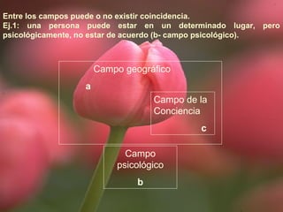 Entre los campos puede o no existir coincidencia. 
Ej.1: una persona puede estar en un determinado lugar, pero 
psicológicamente, no estar de acuerdo (b- campo psicológico). 
Campo geográfico 
a 
Campo 
psicológico 
b 
Campo de la 
Conciencia 
c 
 