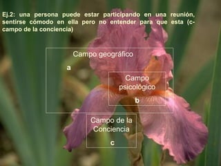 Ej.2: una persona puede estar participando en una reunión, 
sentirse cómodo en ella pero no entender para que esta (c-campo 
de la conciencia) 
Campo geográfico 
a 
Campo 
psicológico 
b 
Campo de la 
Conciencia 
c 
 