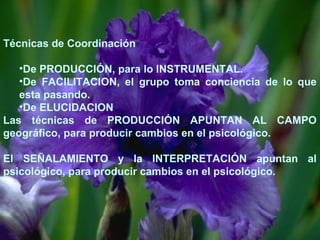 Técnicas de Coordinación 
•De PRODUCCIÓN, para lo INSTRUMENTAL. 
•De FACILITACION, el grupo toma conciencia de lo que 
esta pasando. 
•De ELUCIDACION 
Las técnicas de PRODUCCIÓN APUNTAN AL CAMPO 
geográfico, para producir cambios en el psicológico. 
El SEÑALAMIENTO y la INTERPRETACIÓN apuntan al 
psicológico, para producir cambios en el psicológico. 
 