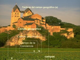 Tácticas del campo geográfico (a) 
campos 
Campo geográfico 
a 
Campo psicológico 
b 
Campo de la 
Conciencia 
c 
 