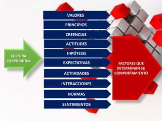 CULTURA
CORPORATIVA
PRINCIPIOS
CREENCIAS
ACTITUDES
SENTIMIENTOS
NORMAS
VALORES
HIPÓTESIS
EXPECTATIVAS
ACTIVIDADES
INTERACCIONES
FACTORES QUE
DETERMINAN SU
COMPORTAMIENTO
 