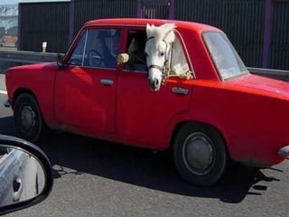 Con personas comprometidas                           