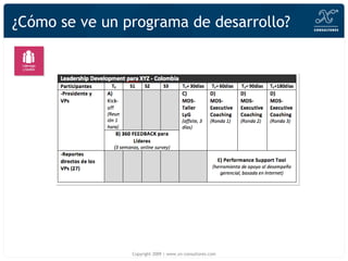 ¿Cómo se ve un programa de desarrollo? Copyright 2009 | www.xn-consultores.com 