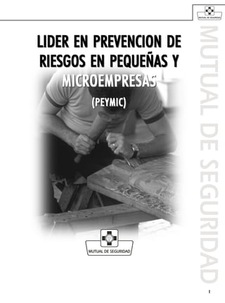 LIDER EN PREVENCION DE
RIESGOS EN PEQUEÑAS Y
    MICROEMPRESAS
        (PEYMIC)




                         1
 