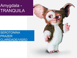 Amygdala -
TRANQUILA
SEROTONINA
PRAZER
CLARIDADE/VISÃO
 