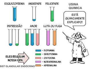 USINA
QUIMICA
SIST GLANDULAR ENDÓCRINO
 