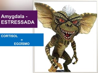 Amygdala -
ESTRESSADA
CORTISOL
=
EGOÍSMO
 