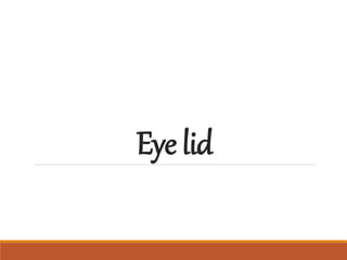 Eye lid
 
