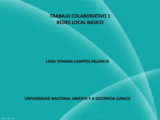 TRABAJO COLABORATIVO 1
             REDES LOCAL BASICO




         LIDIA YOHANA CAMPOS PALENCIA




UNIVERSIDAD NACIONAL ABIERTA Y A DISTANCIA (UNAD)
 