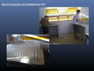 REUTILIZAÇÃO DE GARRAFAS PET 