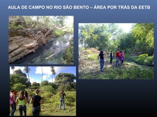 AULA DE CAMPO NO RIO SÃO BENTO – ÁREA POR TRÁS DA EETB 