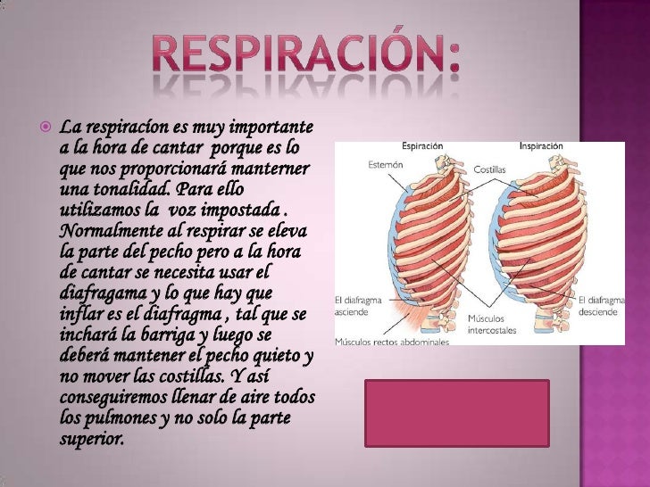 Cuales Son Las Tecnicas De Canto