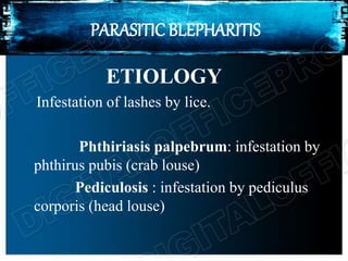 PARASITIC BLEPHARITIS
ETIOLOGY
Infestation of lashes by lice.
Phthiriasis palpebrum: infestation by
phthirus pubis (crab louse)
Pediculosis : infestation by pediculus
corporis (head louse)
 