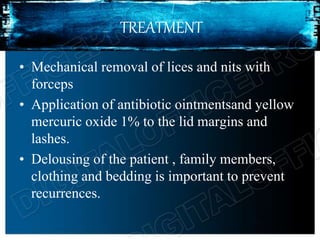TREATMENT
• Mechanical removal of lices and nits with
forceps
• Application of antibiotic ointmentsand yellow
mercuric oxide 1% to the lid margins and
lashes.
• Delousing of the patient , family members,
clothing and bedding is important to prevent
recurrences.
 