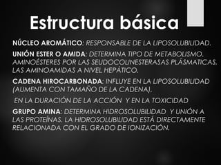 Estructura básica
NÚCLEO AROMÁTICO: RESPONSABLE DE LA LIPOSOLUBILIDAD.
UNIÓN ESTER O AMIDA: DETERMINA TIPO DE METABOLISMO.
AMINOÉSTERES POR LAS SEUDOCOLINESTERASAS PLÁSMATICAS,
LAS AMINOAMIDAS A NIVEL HEPÁTICO.
CADENA HIROCARBONADA: INFLUYE EN LA LIPOSOLUBILIDAD
(AUMENTA CON TAMAÑO DE LA CADENA),
EN LA DURACIÓN DE LA ACCIÓN Y EN LA TOXICIDAD
GRUPO AMINA: DETERMINA HIDROSOLUBILIDAD Y UNIÓN A
LAS PROTEÍNAS. LA HIDROSOLUBILIDAD ESTÁ DIRECTAMENTE
RELACIONADA CON EL GRADO DE IONIZACIÓN.
 