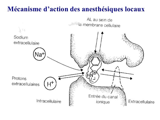 Lidocaine