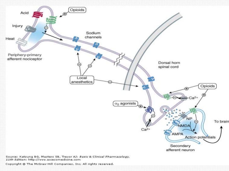 drug classifications